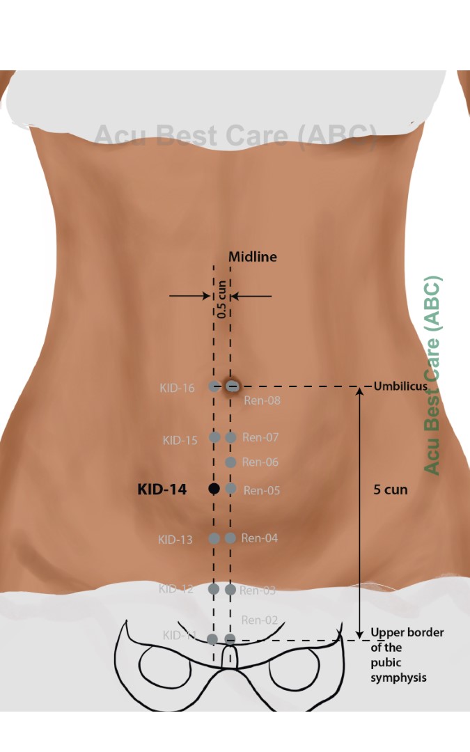 Acubestcare Meridian K-14 or KID-14